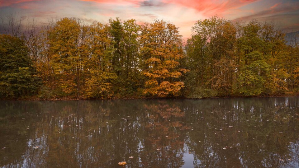 Natureon tijdens je wandelcoachtraject richten we ons op jouw specifieke coachvraag in de buitenlucht Rotterdam Vlaardingen Zoetermeer coach.