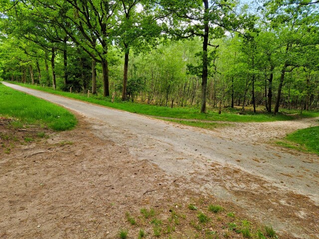 Natureon Wandelcoach Stap voor stap het juiste pad kiezen Rotterdam, Vlaardingen en Zoetermeer coach.