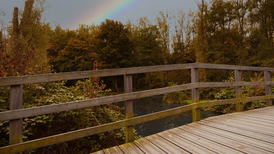 Ook als het leven even zwaar voelt helpt één stap op de brug al om nieuw uitzicht te krijgen Natureon Wandelcoach.
