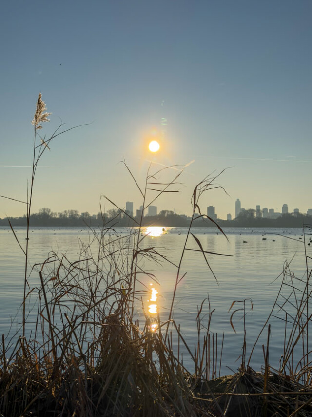 Wandelcoaching in Rotterdam, we wandelen op plekken waar je even loskomt van de drukte van de stad