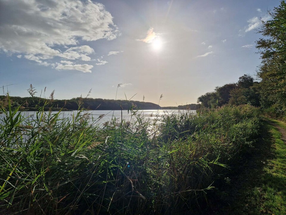 Wandelcoaching in Vlaardingen in de Broekpolder met een NOBCO aangesloten wandelcoach.