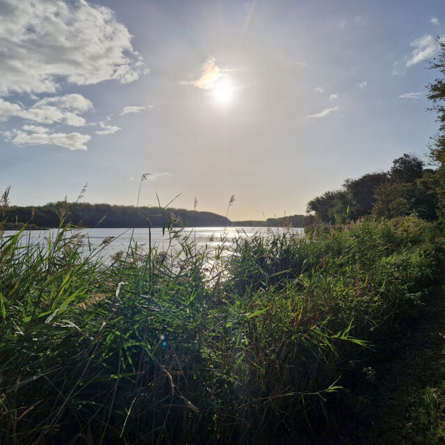 Wandelcoaching in Vlaardingen, we wandelen in een uitgestrekt natuurgebied waar rust en openheid centraal staan